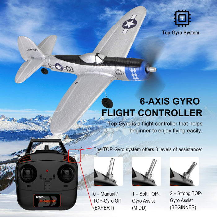 Top RC Mini RC Model Plane P47 Ready to Fly Mode 2